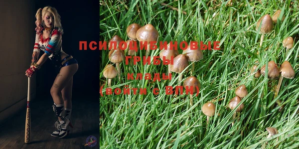 стафф Баксан