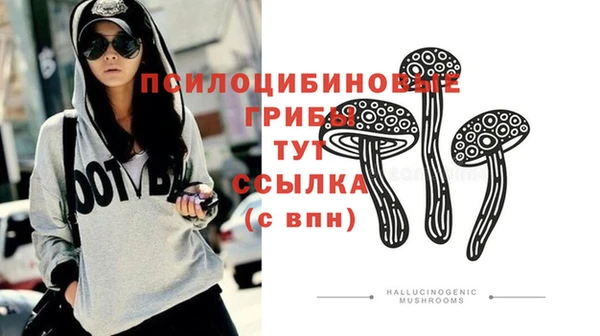 стафф Баксан