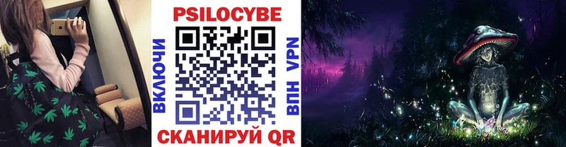 Галлюциногенные грибы Psilocybe MEGA зеркало Буинск